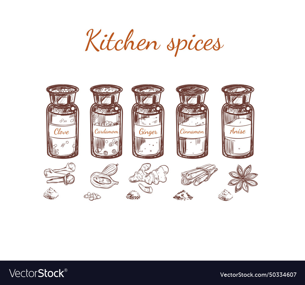 Hand drawn kitchen spices set