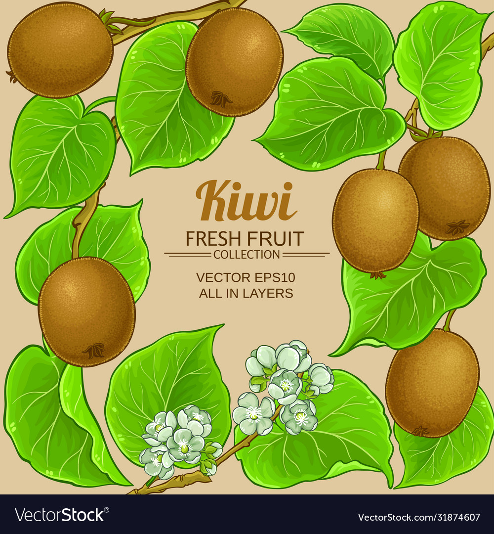 Kiwi branches frame on color background Royalty Free Vector