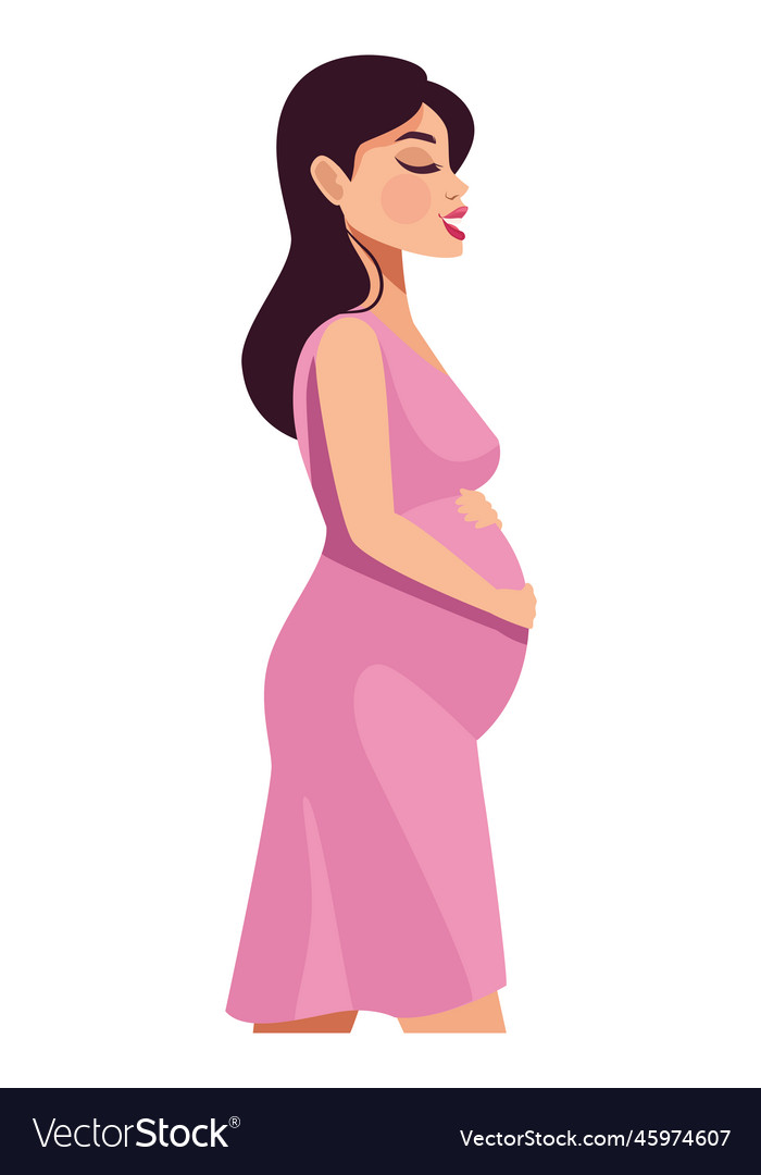 Woman six months pregnant Royalty Free Vector Image