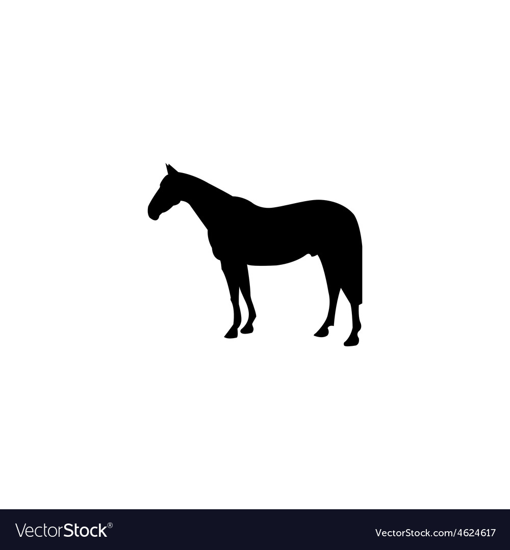 Horse silhouette