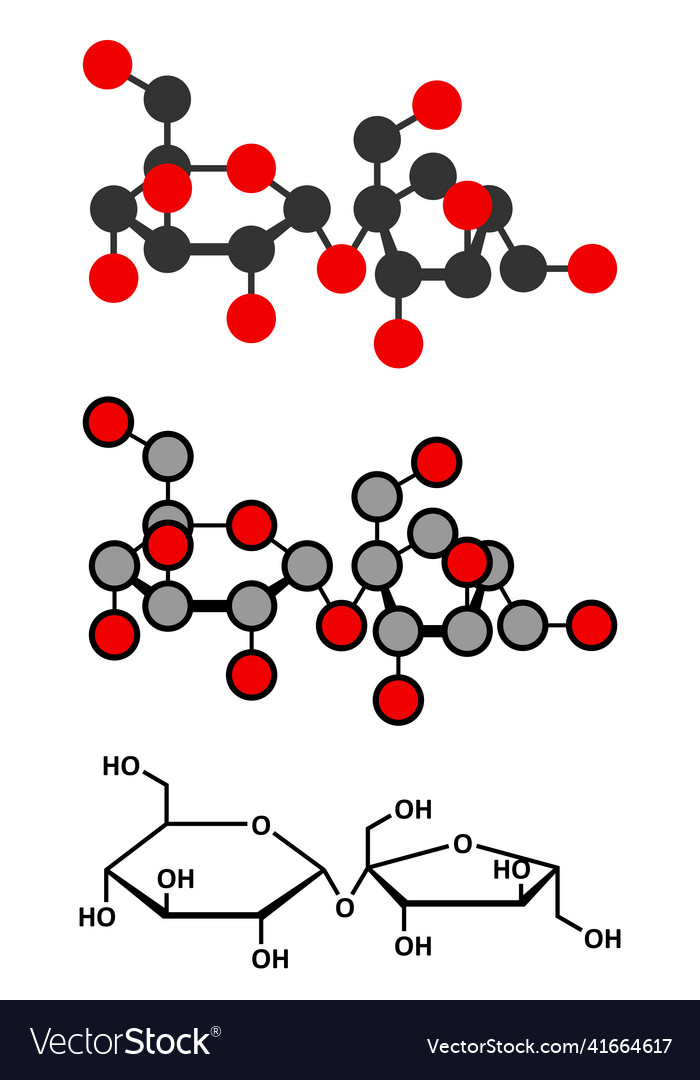 Sucrose sugar molecule also known as table sugar Vector Image