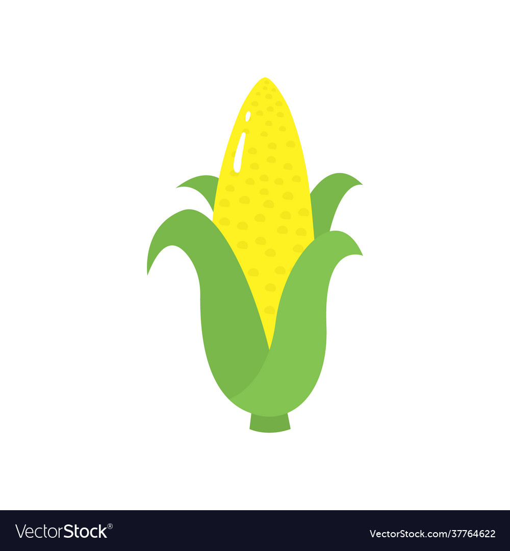 Corn icon isolated on white background