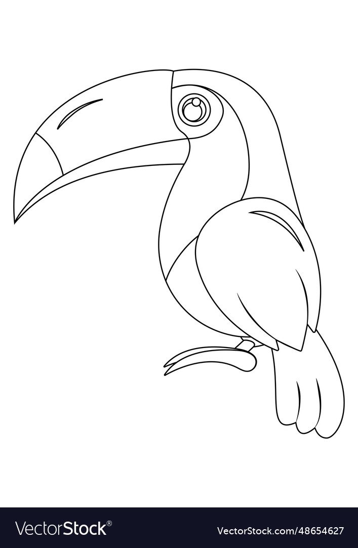 Premium Vector  Tucan and flower coloring page for adults