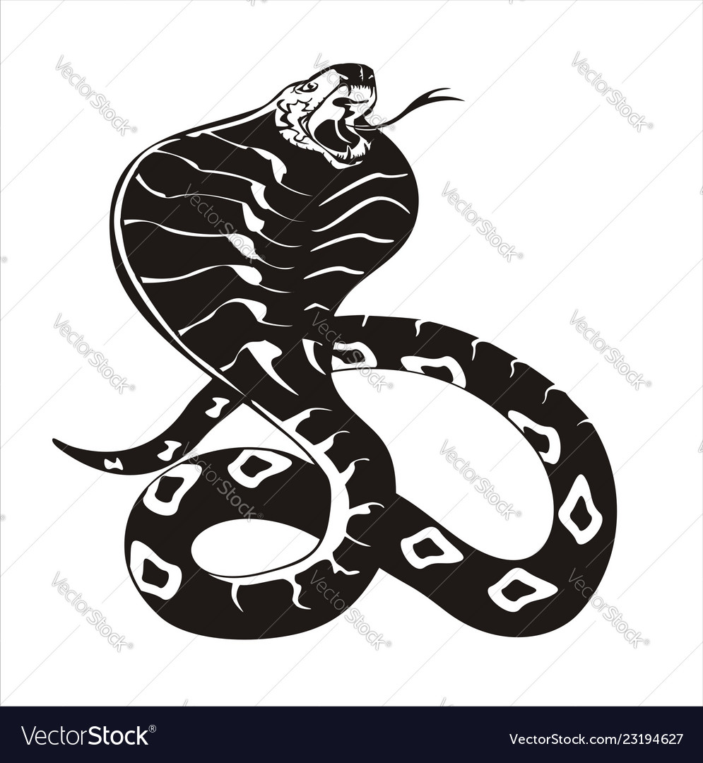 White snake cobra Royalty Free Vector Image - VectorStock