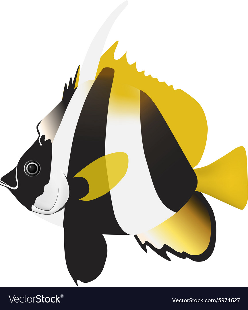 Masked Bannerfish Royalty Free Vector Image Vectorstock