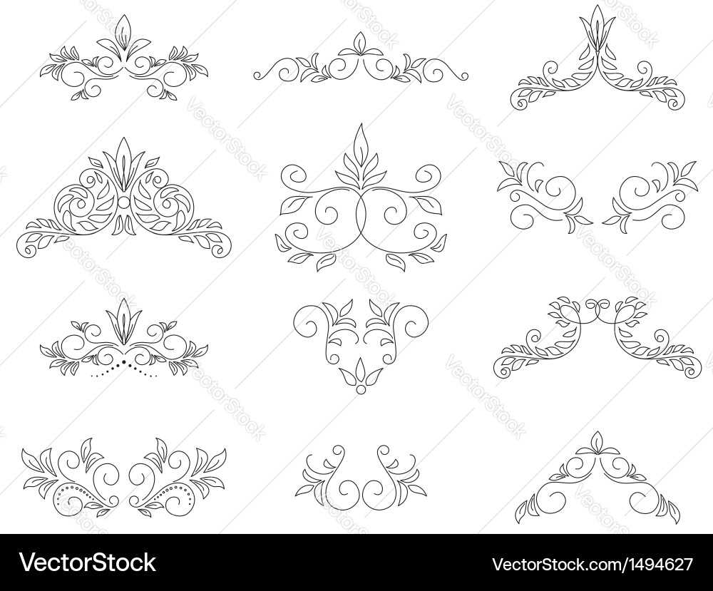 Set - floral design elements Royalty Free Vector Image