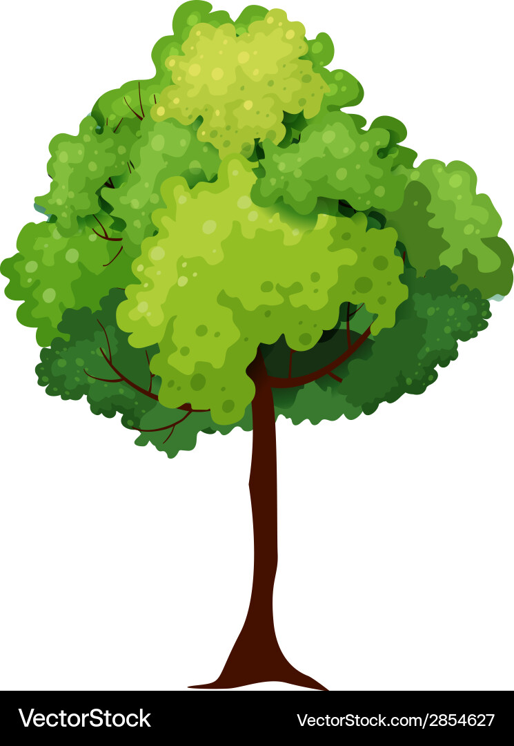 Tree Royalty Free Vector Image - VectorStock