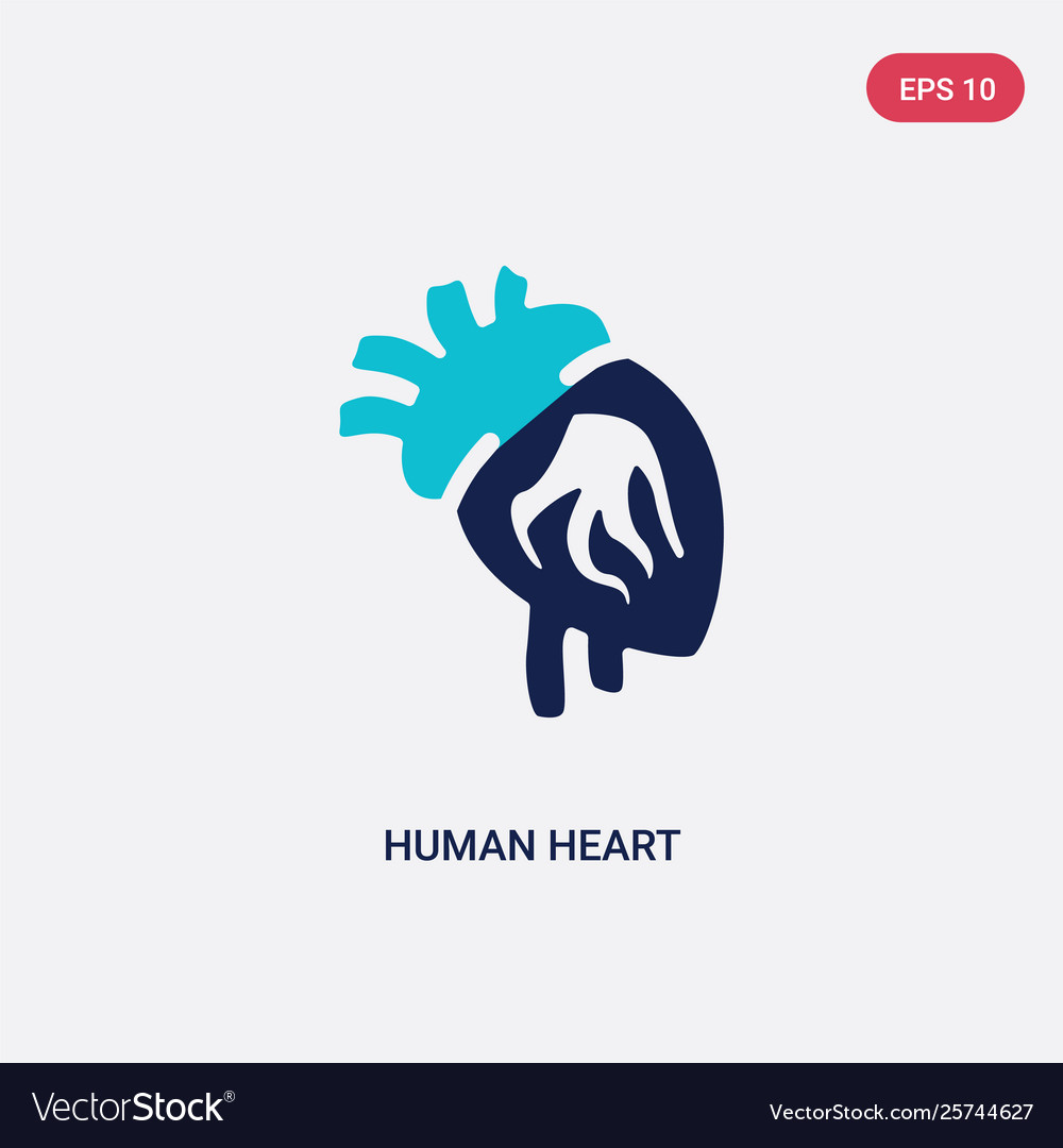 Two color human heart icon from body parts