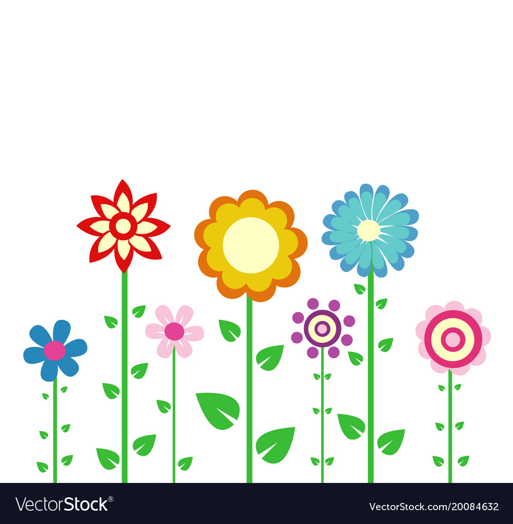 Colorful spring flowers