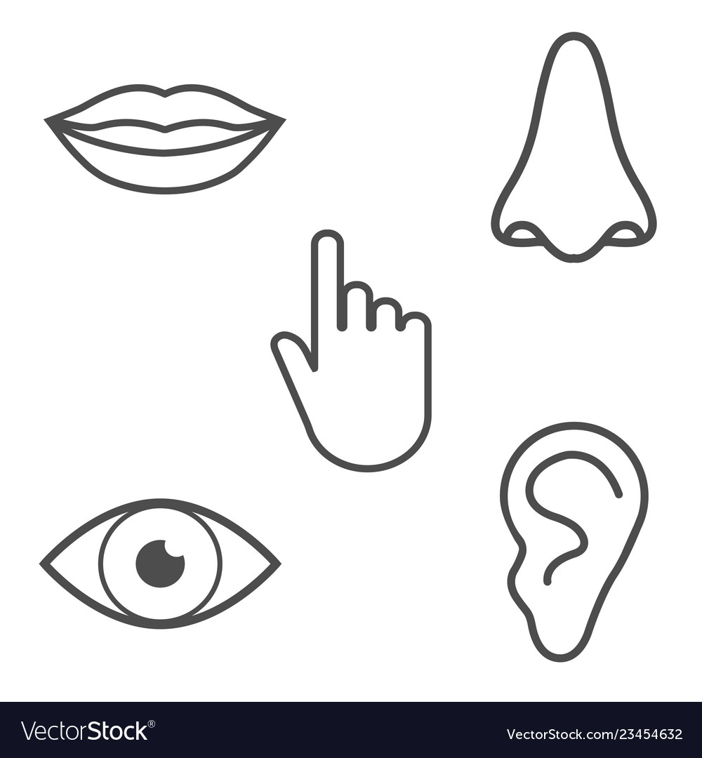 Human senses icon flat Royalty Free Vector Image