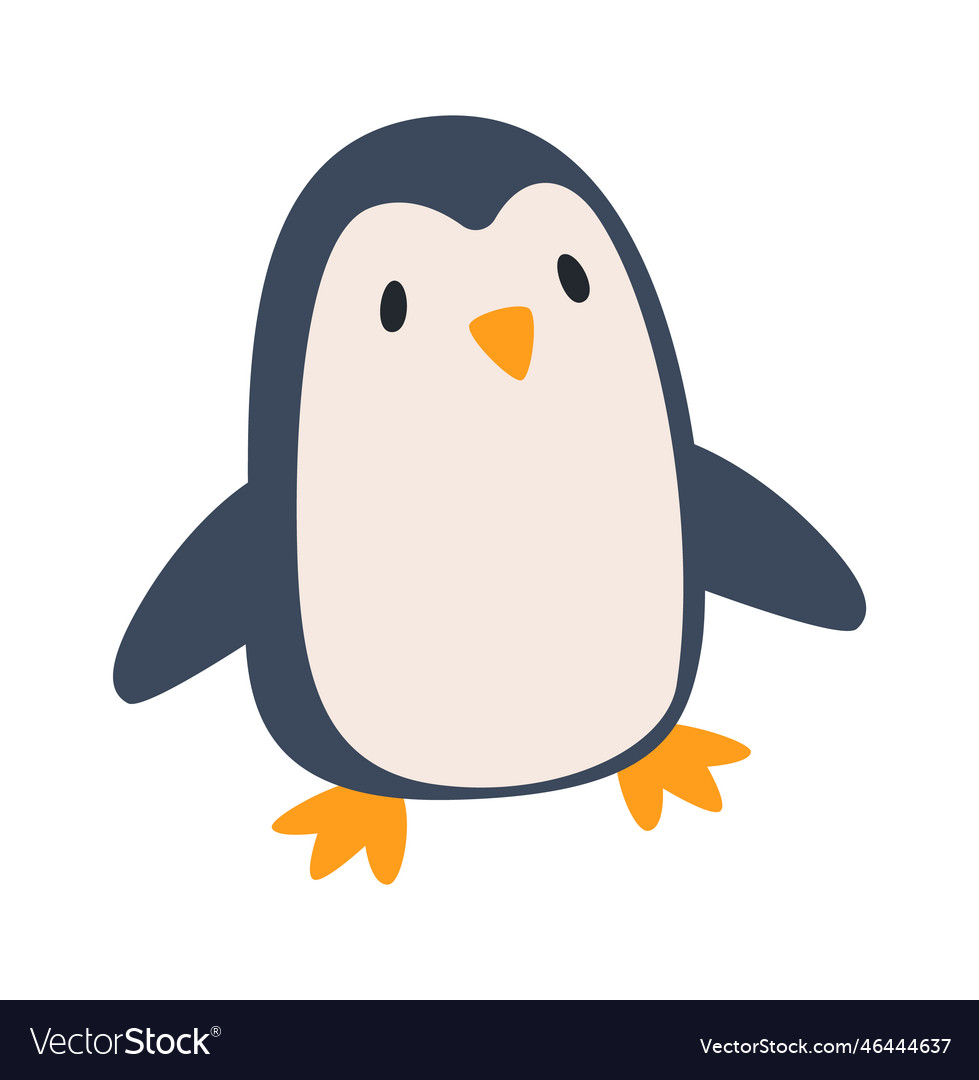 Baby penguin bird Royalty Free Vector Image - VectorStock