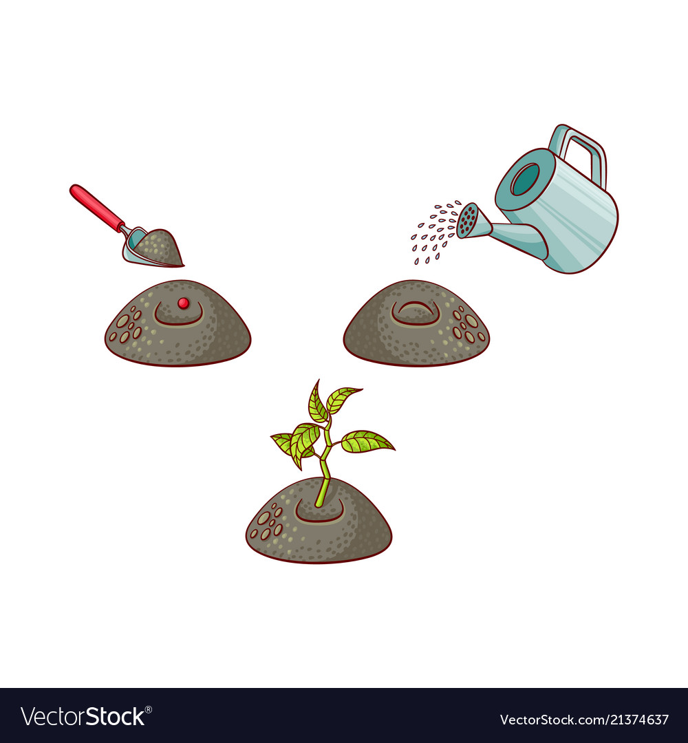 Flat tree planting stages symbols set