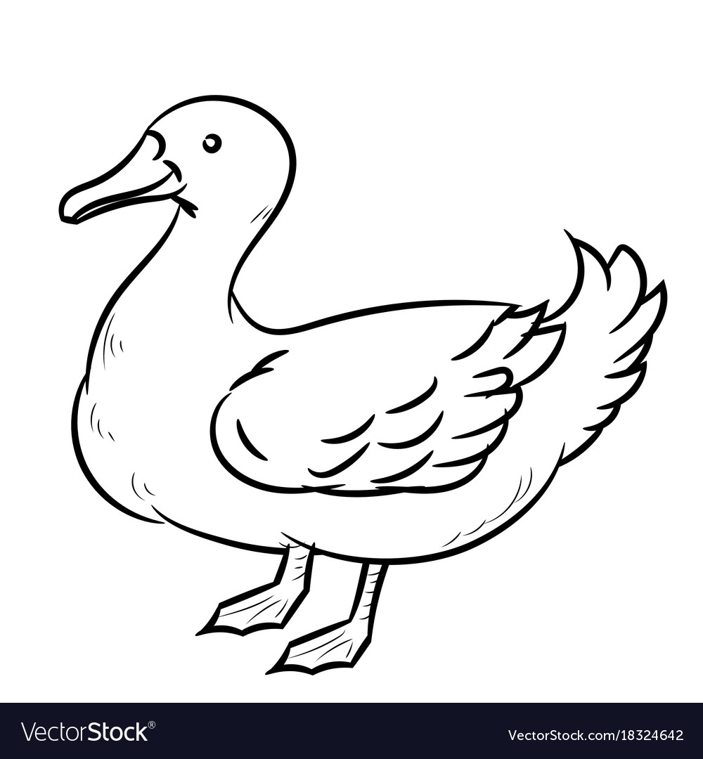 Line drawing of duck simple line Royalty Free Vector Image