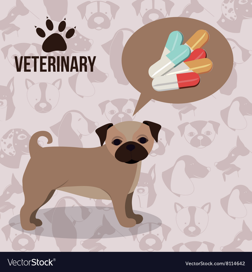 Vet clinic design