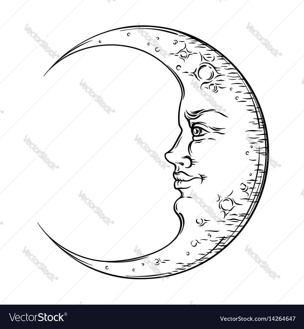 Antique hand drawn art crescent moon boho style Vector Image