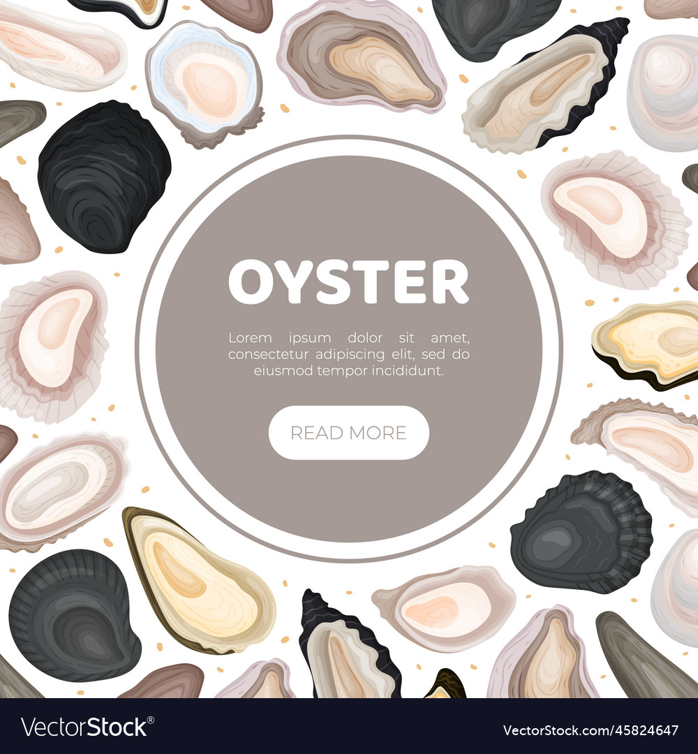 Oyster fresh seafood banner design with sea Vector Image