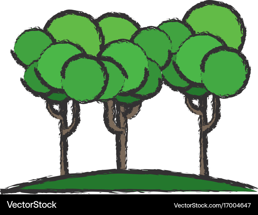 Trees icon image Royalty Free Vector Image - VectorStock