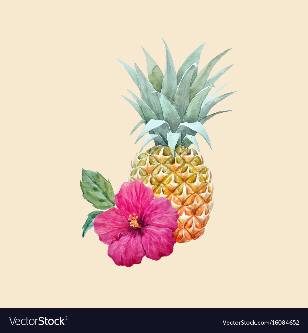 Download Watercolor pineapple fruit Royalty Free Vector Image