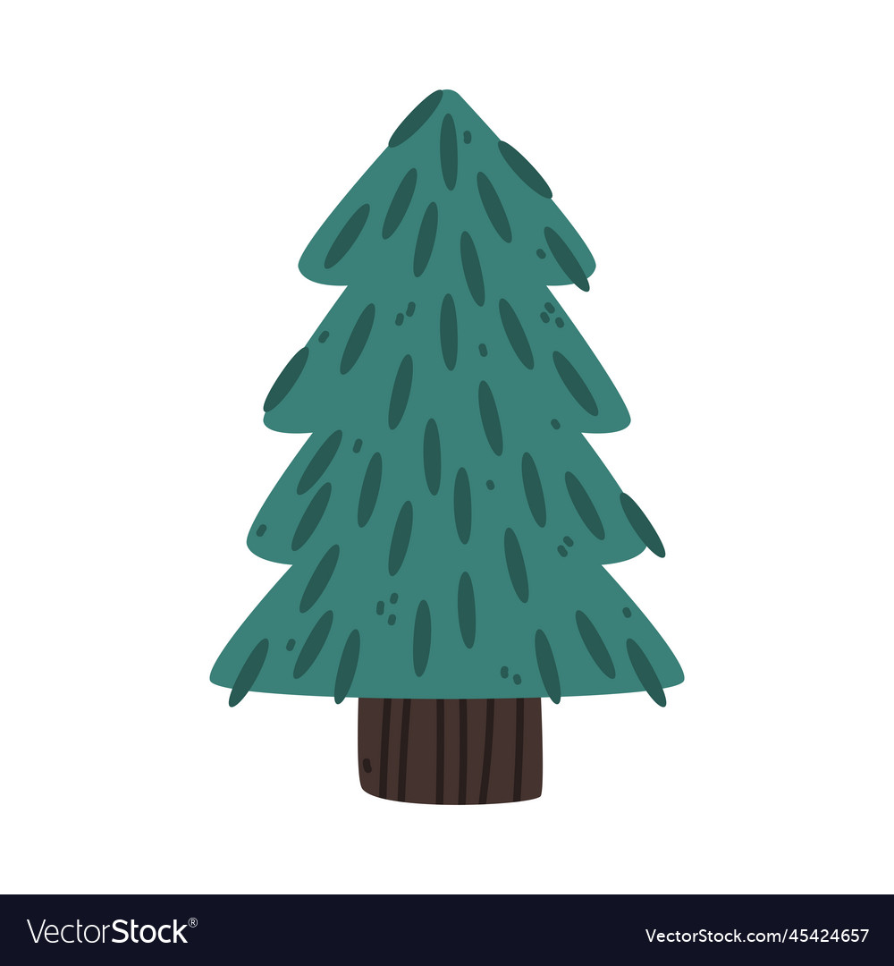 Fir tree with trunk and needles growing in park Vector Image