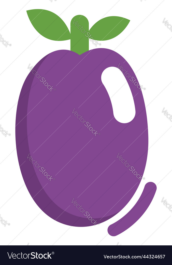 Purple plum on a white background