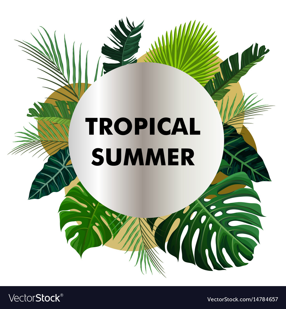 Tropical design with exotic palm leaves