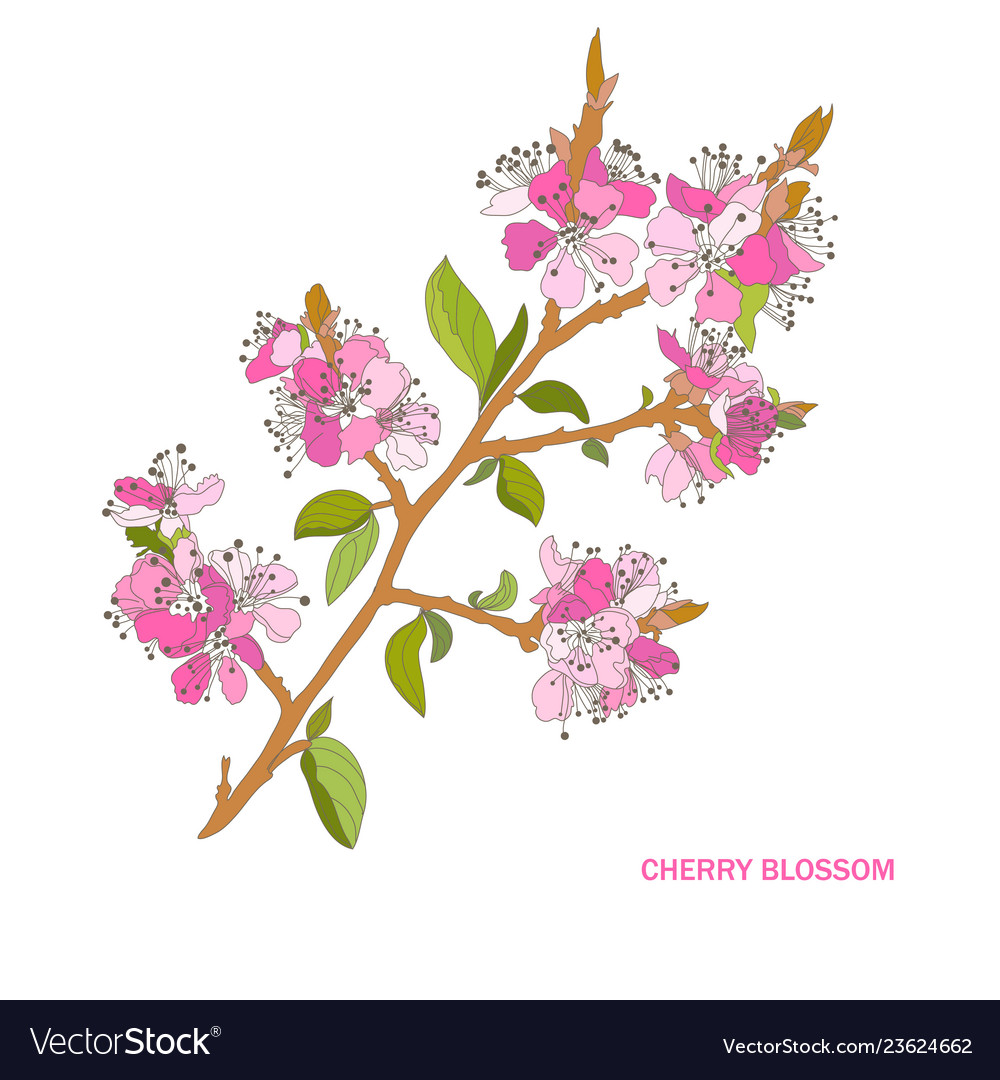 Decorative cherry blossom