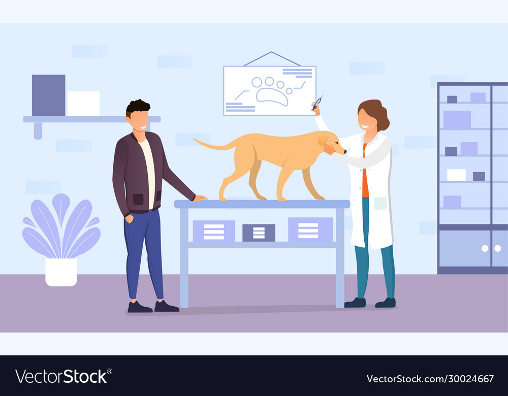 Dog getting a shot at veterinary office Royalty Free Vector