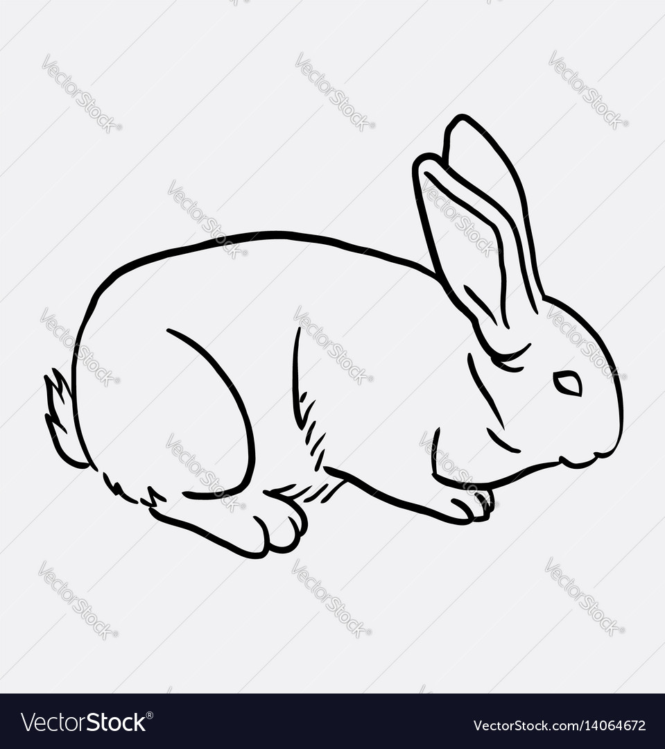 Rabbit pet animal sketch Royalty Free Vector Image