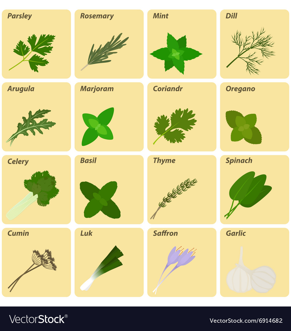 Set herbs and spices labels Royalty Free Vector Image