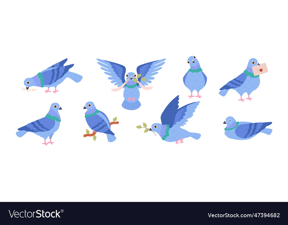 Set of blue pigeons flat style Royalty Free Vector Image