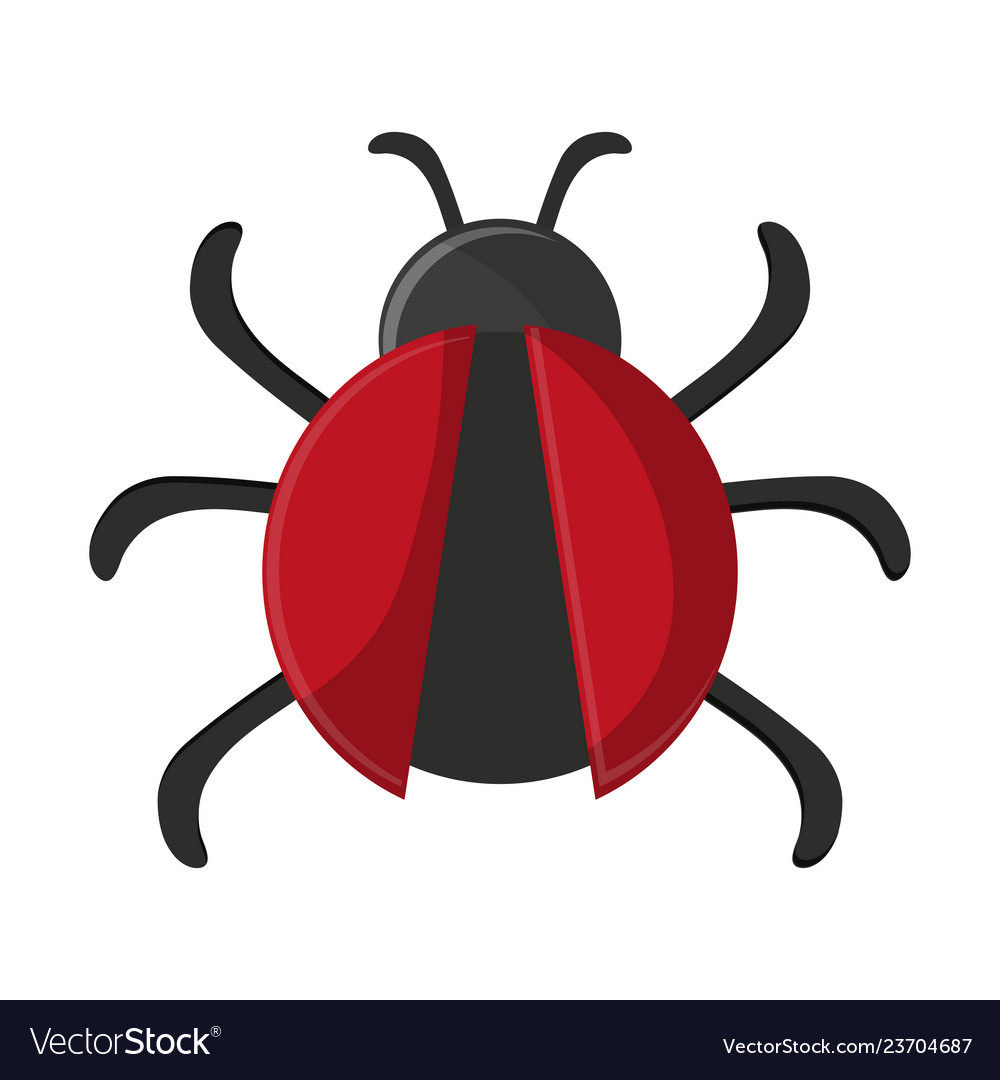 Bug virus symbol isolated