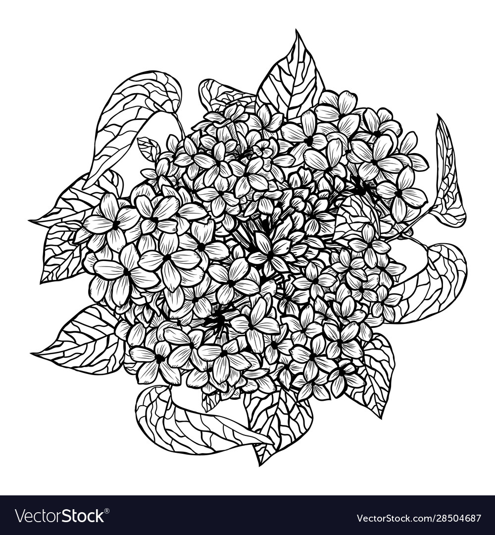 Hand drawn floral decoration