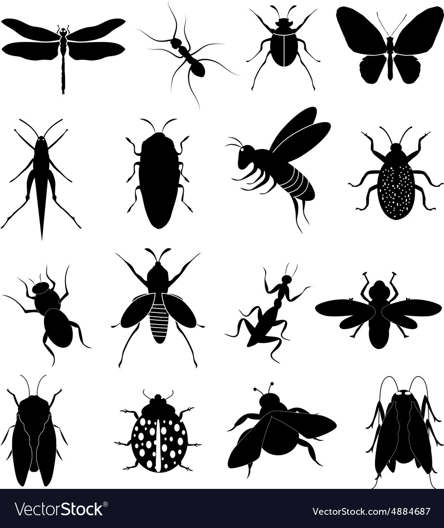 Insects icons set Royalty Free Vector Image - VectorStock