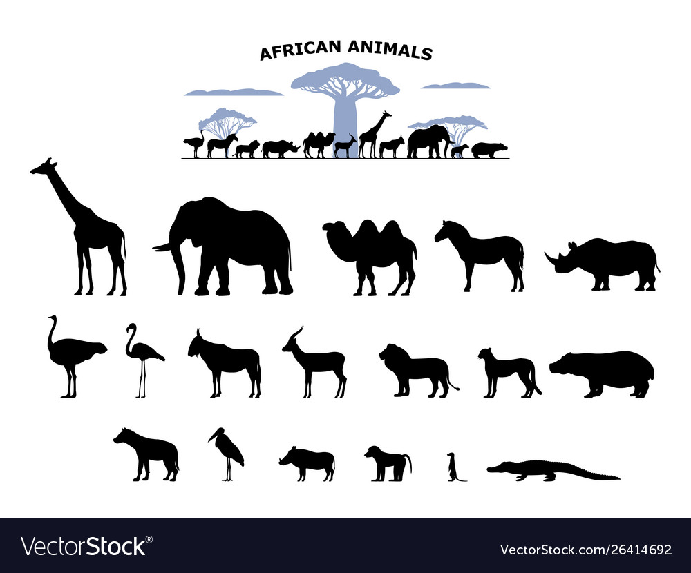 Set black silhouette wild african animals Vector Image Set black silhouette wild african animals Vector Image