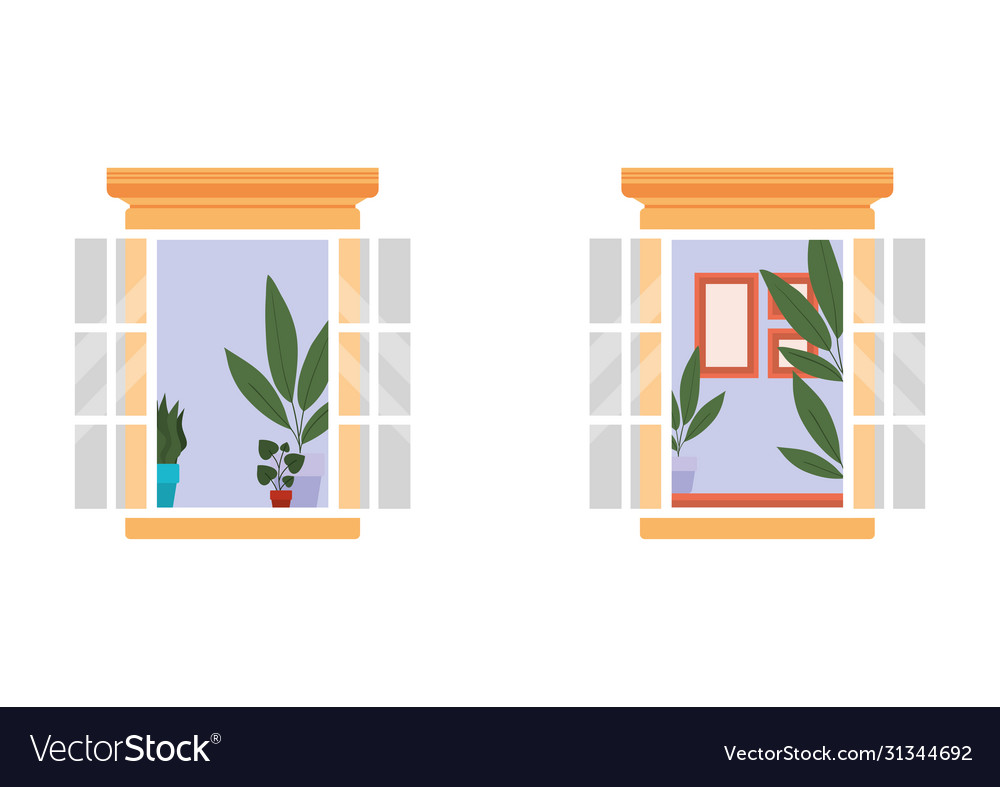 Windows with interior view plants and frames