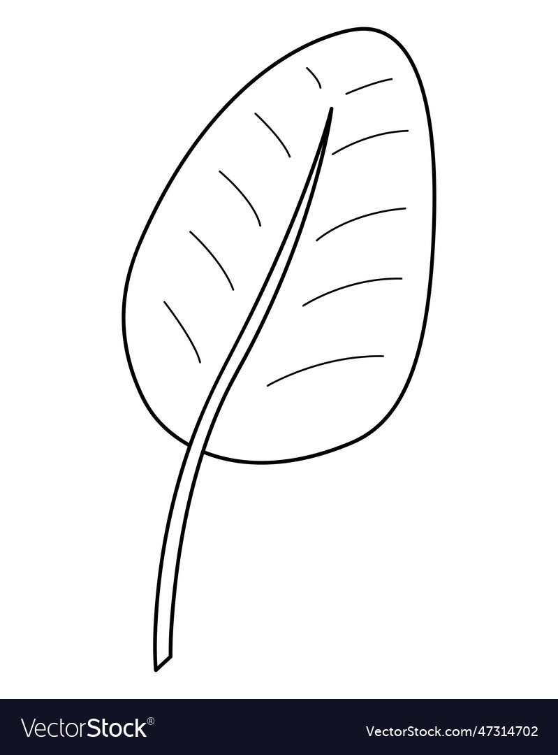 Palm leaf in doodle style3 black and white Vector Image