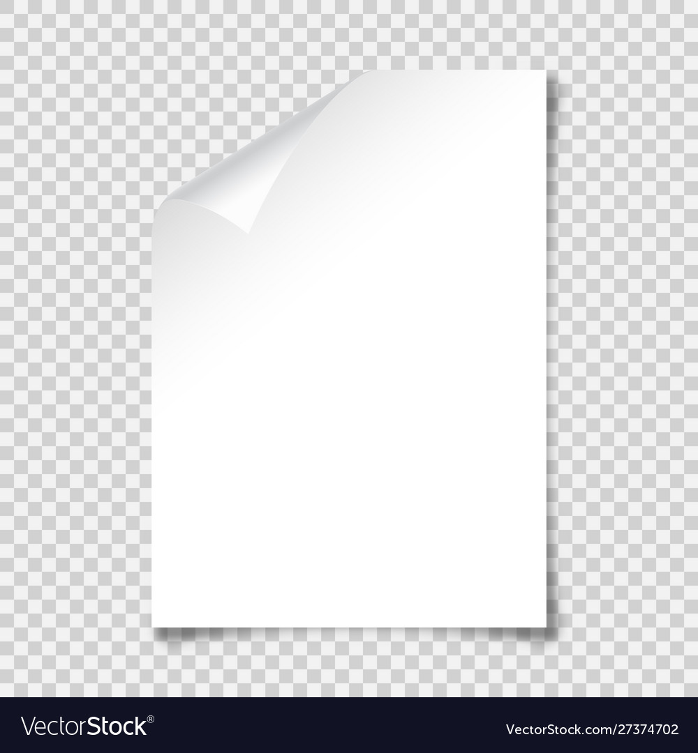 Realistic blank paper sheet with shadow in a4 Vector Image