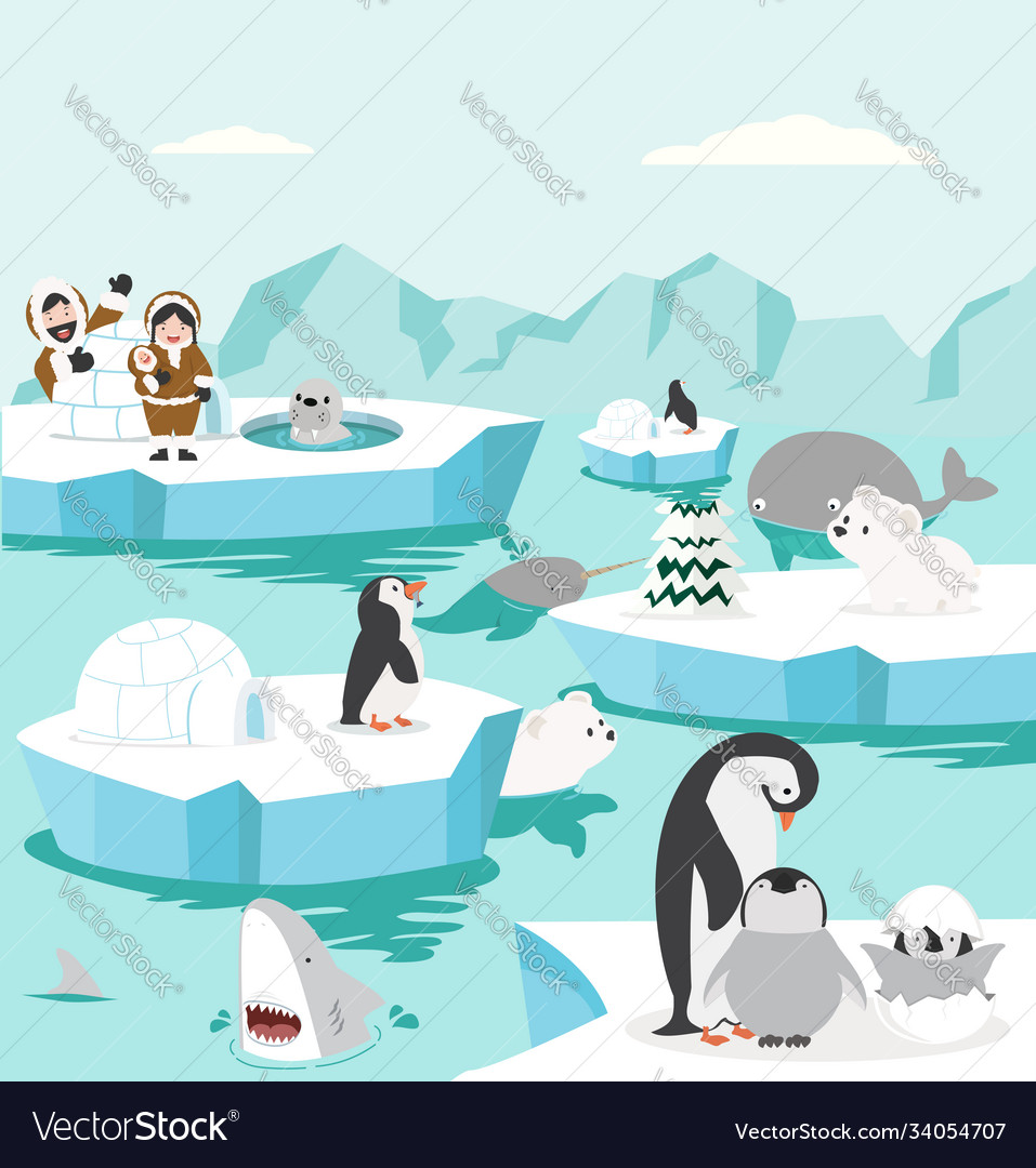 Set animals in north pole arctic background Vector Image