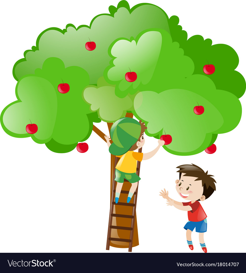 Cartoon Apple Tree Picking