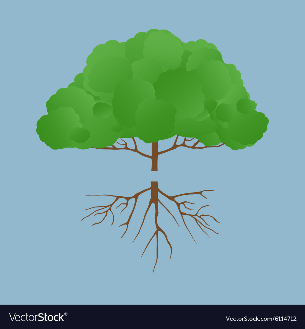 Green tree with root Royalty Free Vector Image