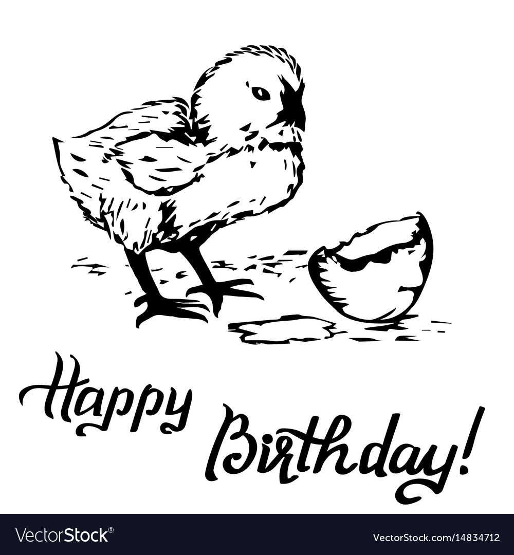 Happy Birthday Gift Card Chick Peeking Out Of Vector Image