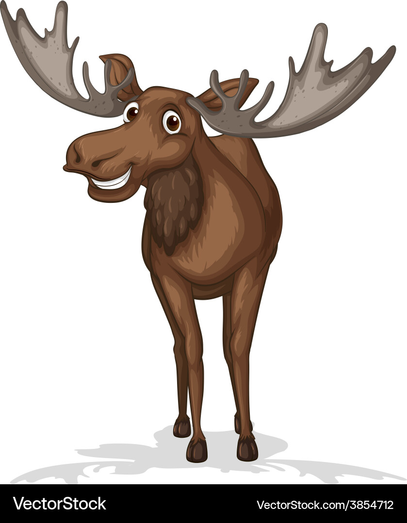 Moose Royalty Free Vector Image - VectorStock
