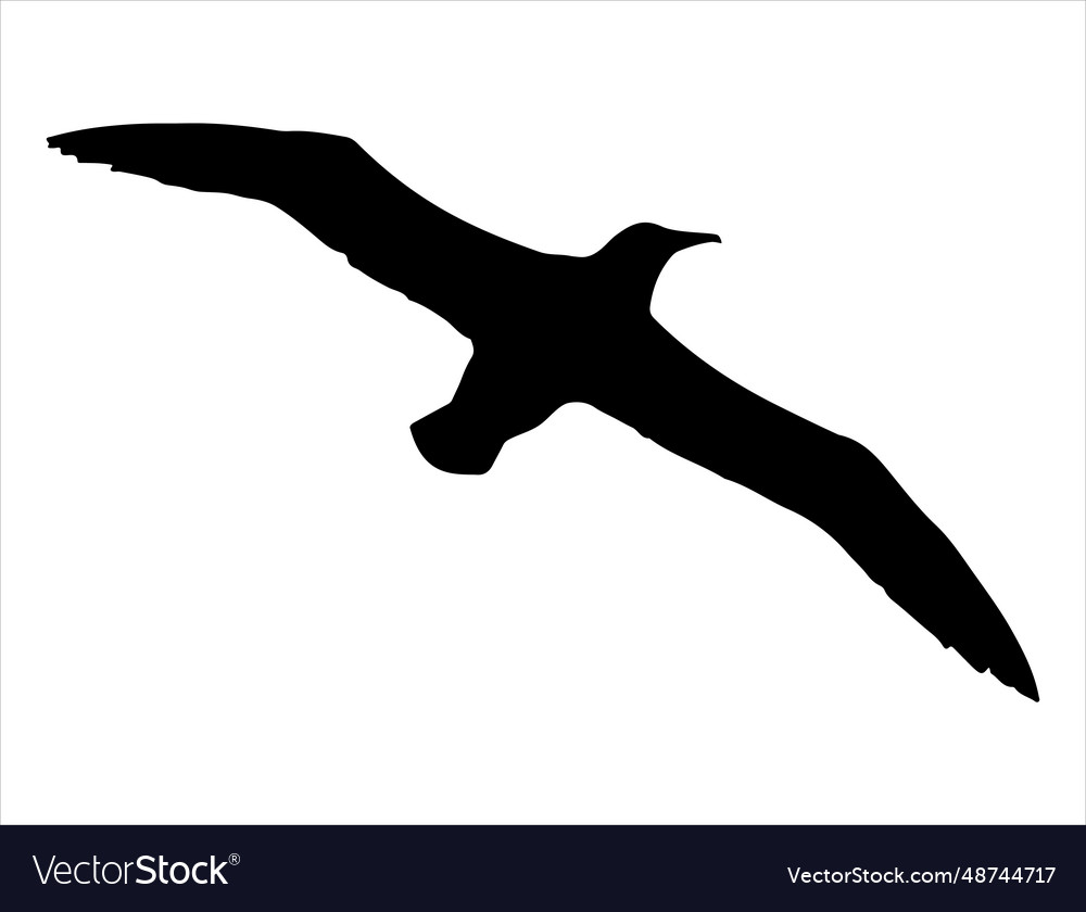 Albatross Silhouette Art Royalty Free Vector Image