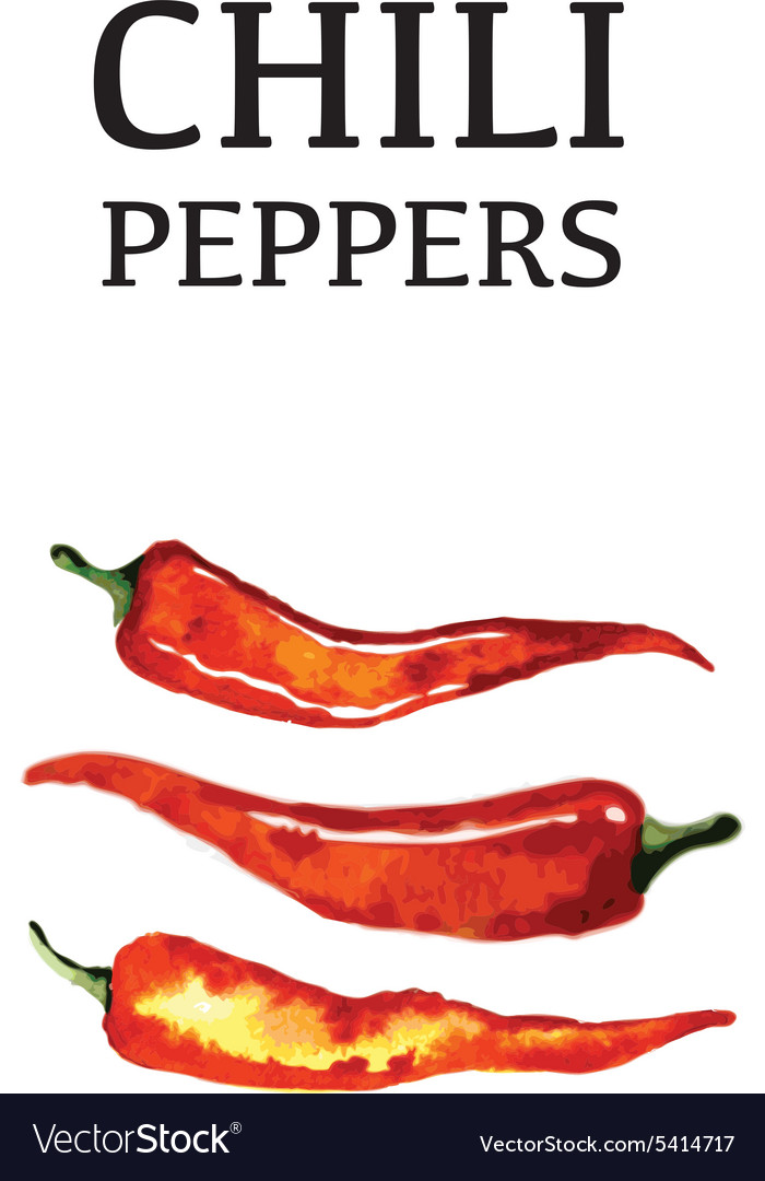 Red chili pepper isolated poster on white Vector Image