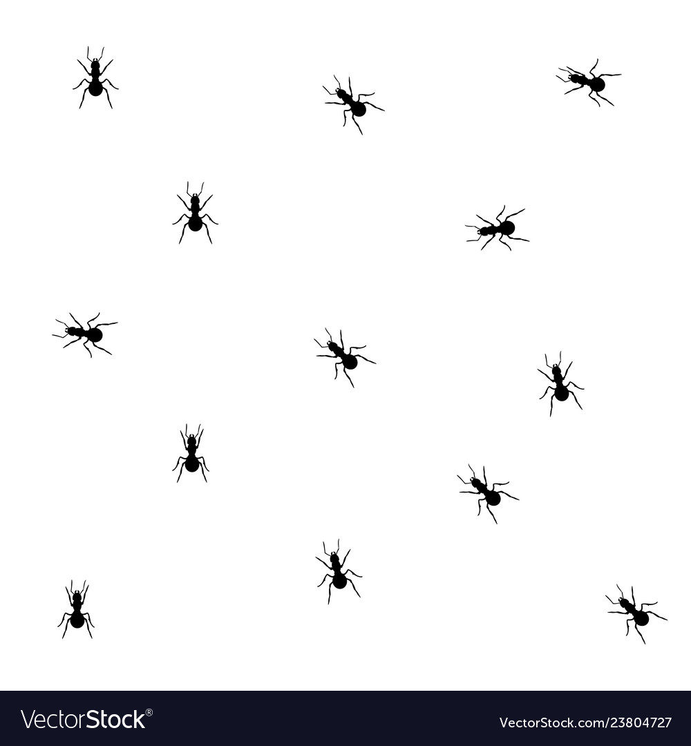 Ants seamless pattern vector image Ants seamless pattern