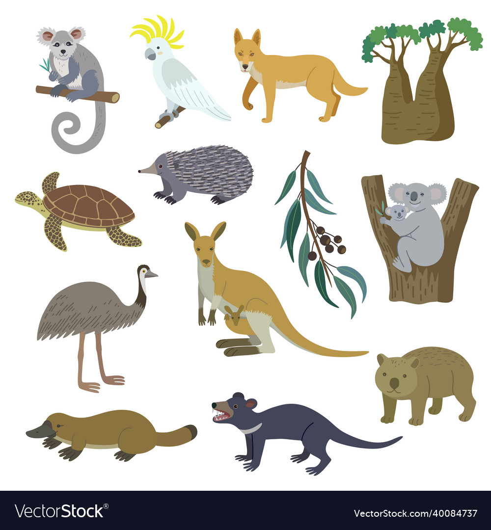 Big set of nature australia animals birds Vector Image