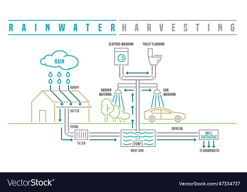 Rainwater harvesting scheme editable isolated Vector Image