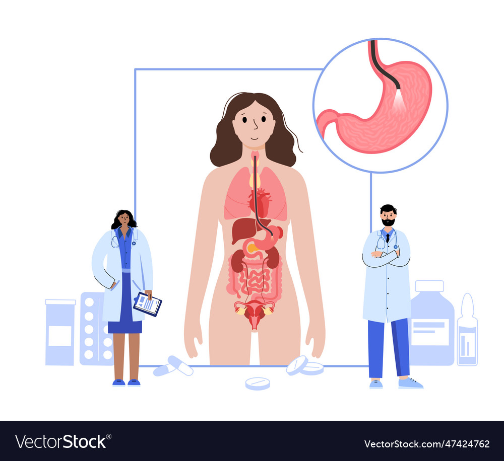 Gastroscopy Endoscopy Procedure Royalty Free Vector Image