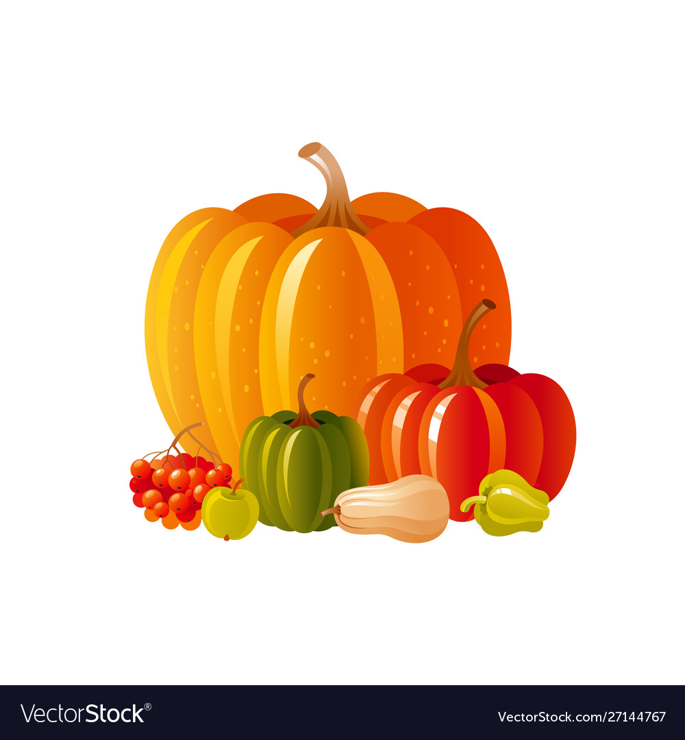 Autumn fall pumpkin icon for harvest festival