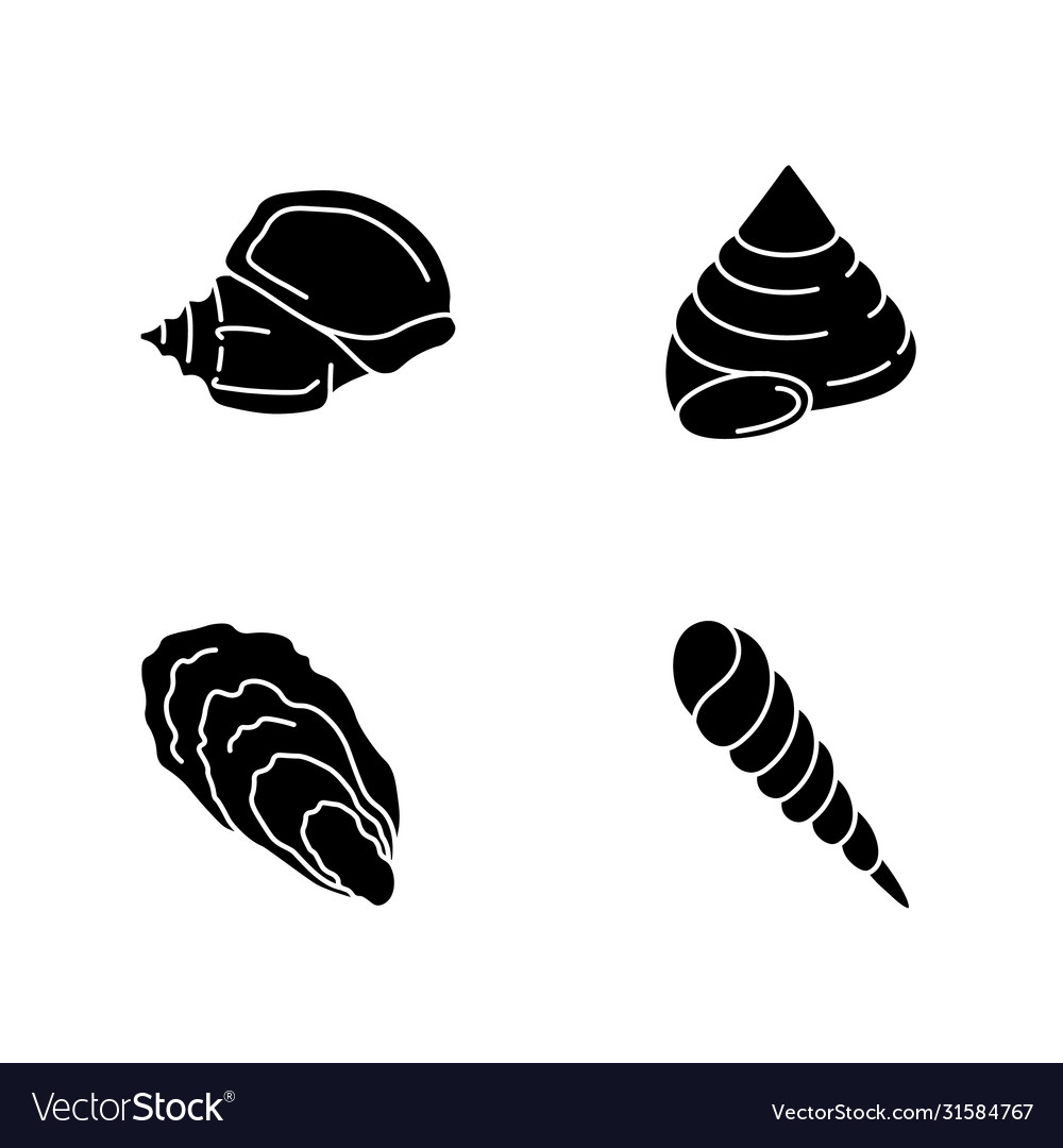 Different seashells black glyph icons set